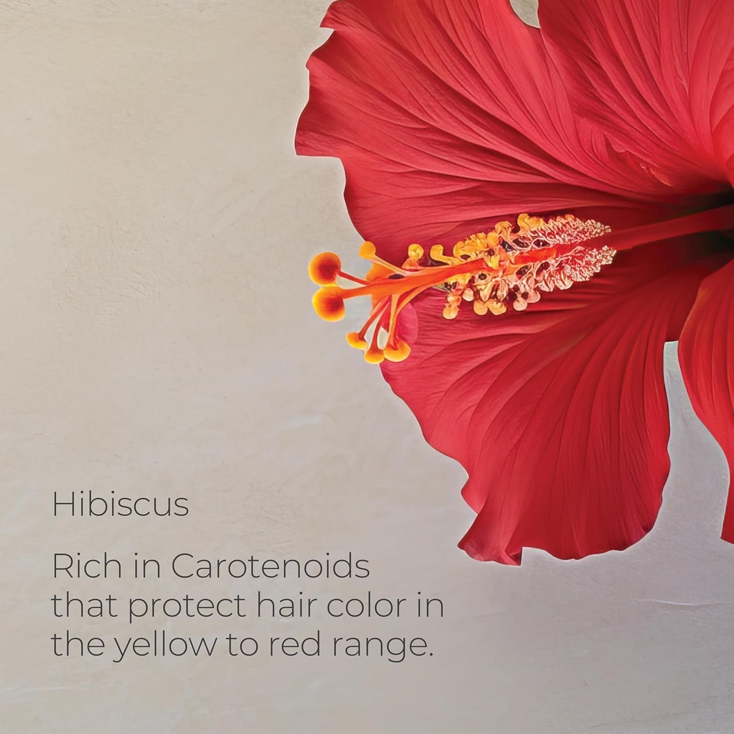 Healing Colorcare Color-Preserving