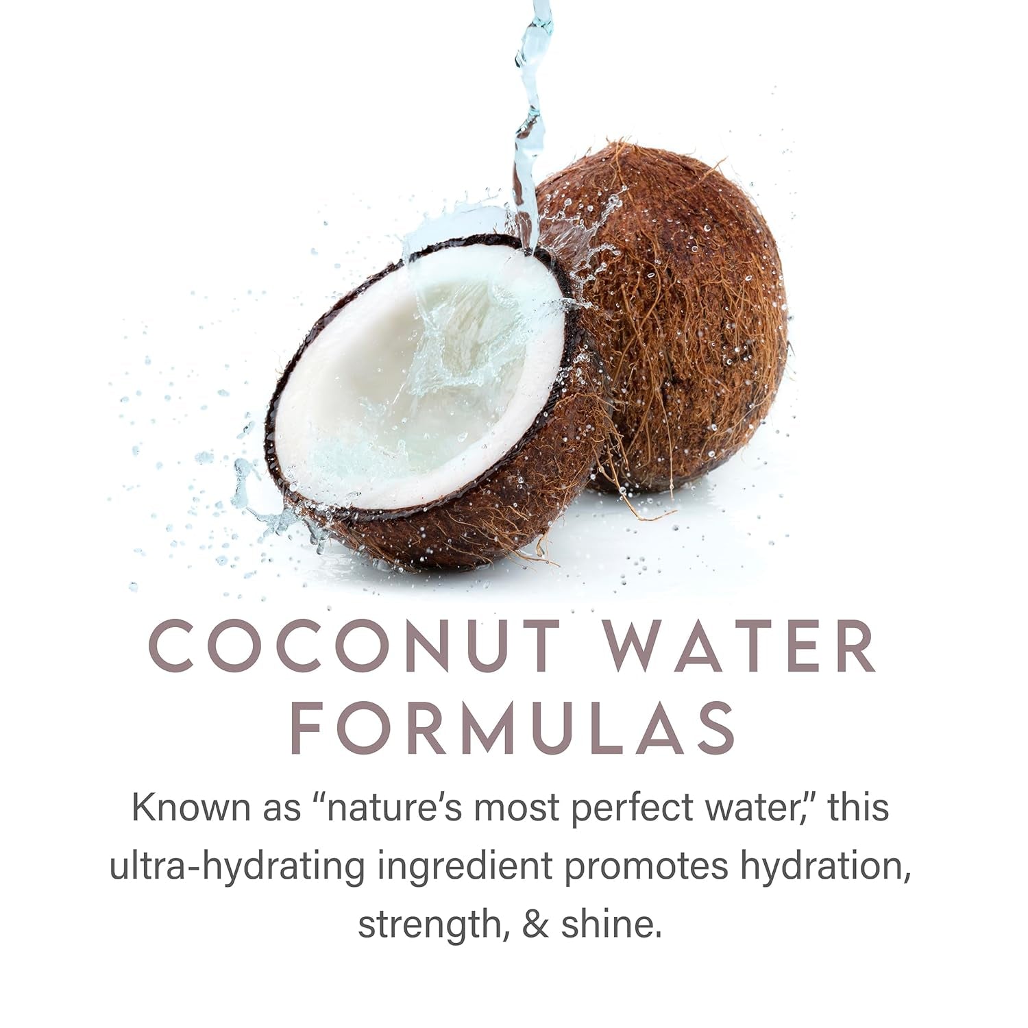 Coconut Water Daily Shampoo for Men and Women, Detoxifying Hydration and Volume for All Hair Types, 12 Fl Oz