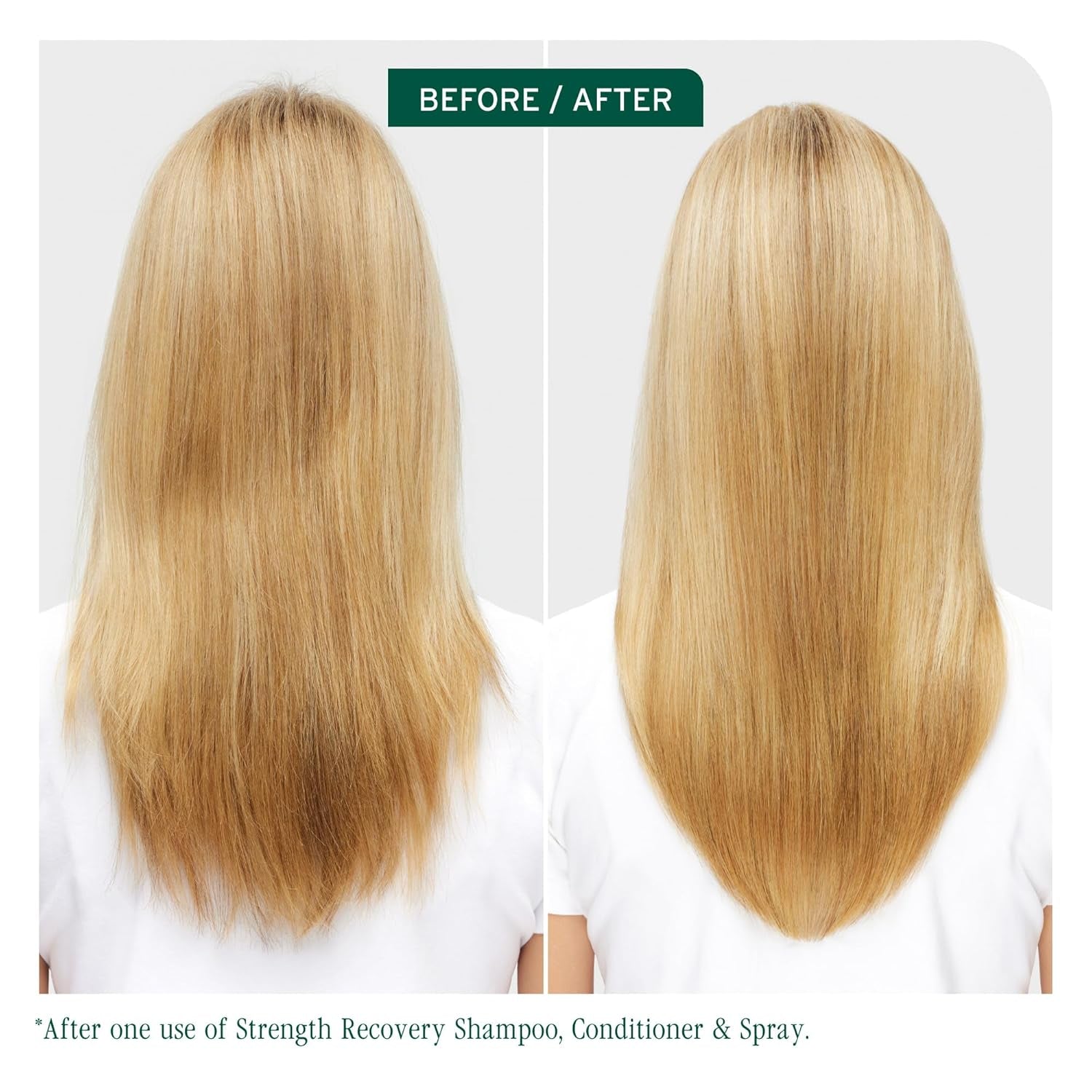 Biolage Strength Recovery Shampoo, for Damaged & Sensitized Hair, Gently Cleanses & Reduces Breakage, Vegan, Cruelty-Free, Packaging May Vary