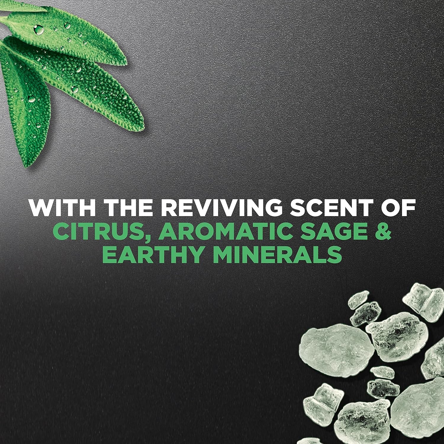 Dove Men+Care Elements Body Wash, Minerals and Sage, 530Ml